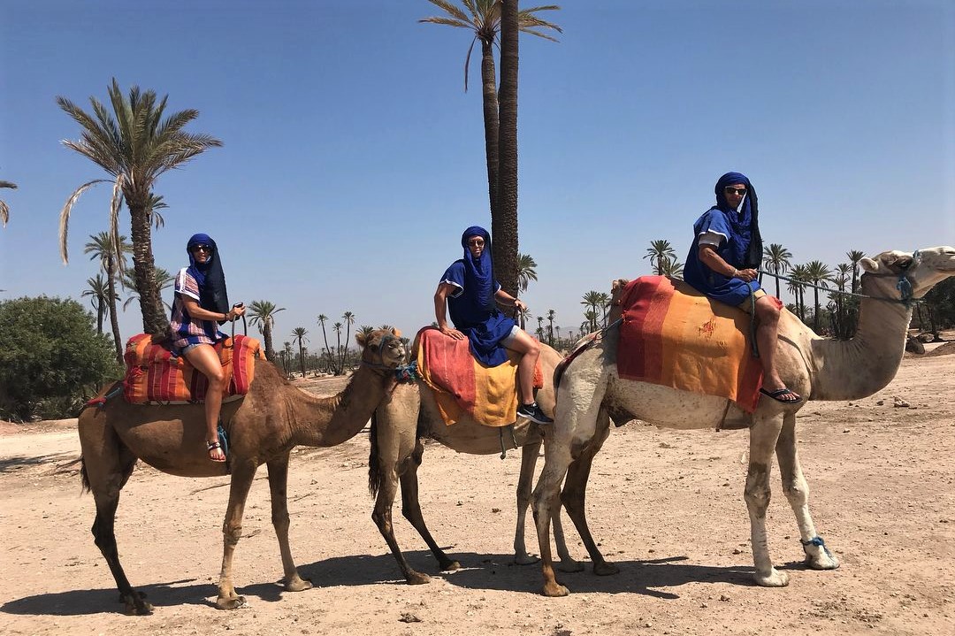 Camel ride and camel trekking marrakech Palmerais