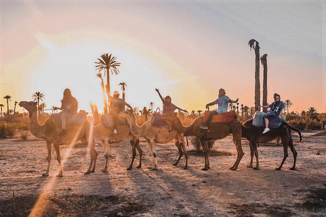 Camel ride and camel trekking marrakech Palmerais