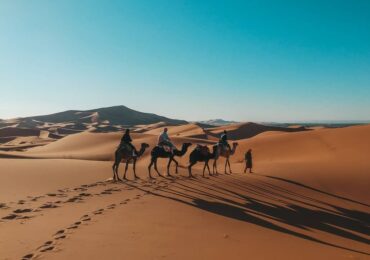 How To Ride A Camel in Sahara Desert