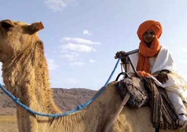 How To Ride A Camel in Sahara Desert
