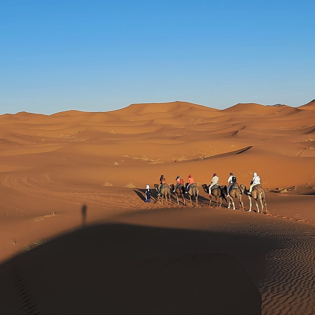 Best Of Marrakech Desert Trips In 2021