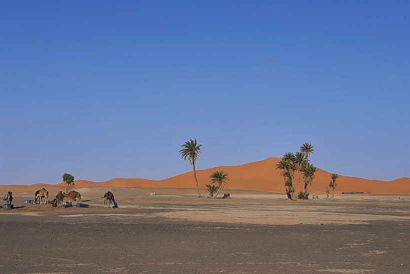 Merzouga 2 Days desert tour from marrakech