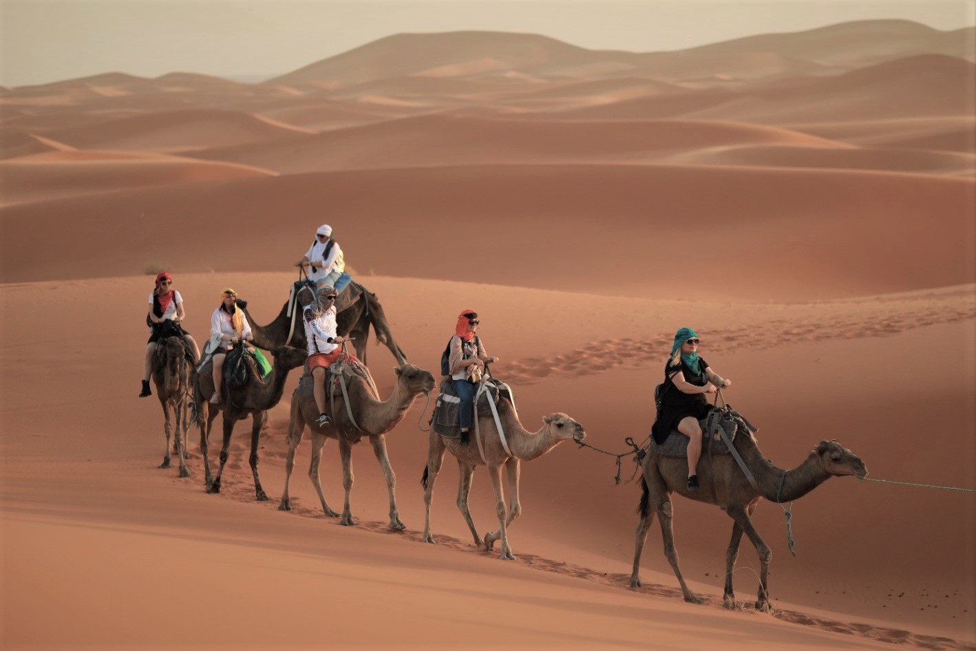 How to ride a camel or dromedary in the Sahara Desert