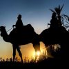 Marrakech-camel-ride-and-Marrakech-camel-trekking