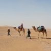 Zagora desert 2 daysch trip from marrake