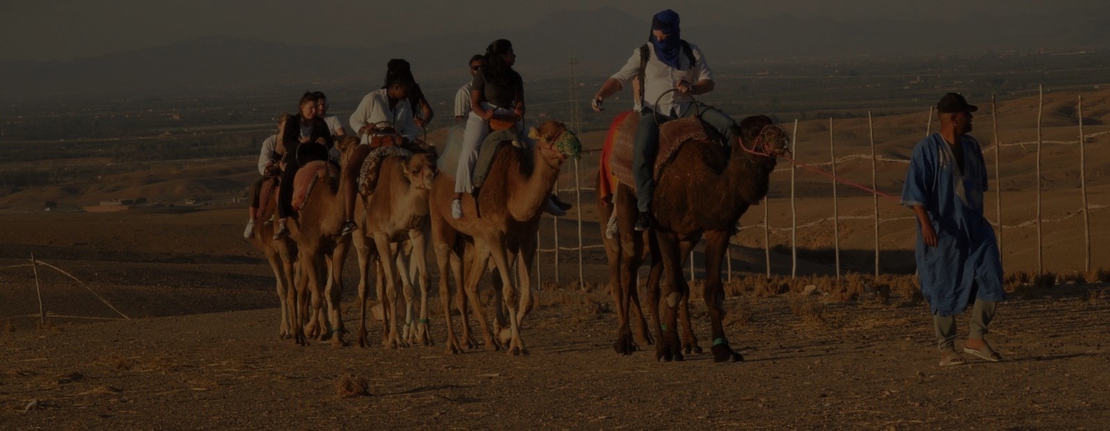 How to ride a camel or dromedary in the Sahara Desert