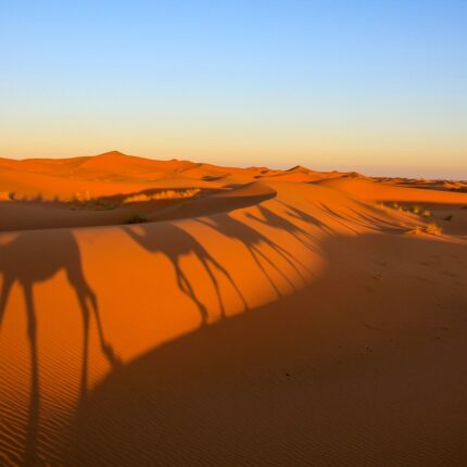 Erg Lihoudi desert camp 2 days Desert Tour