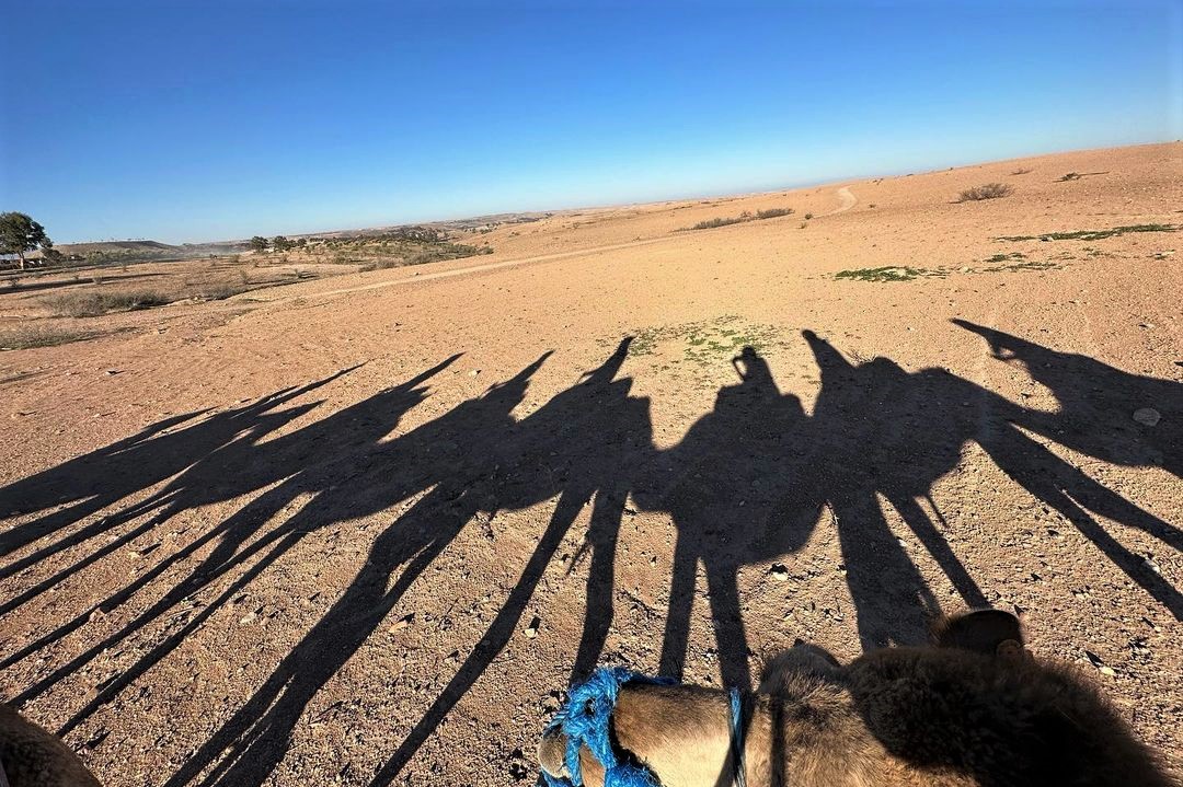 Camel ride in the agafay desert half day from Marrakech