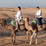 Agafay desert tour with camel ride